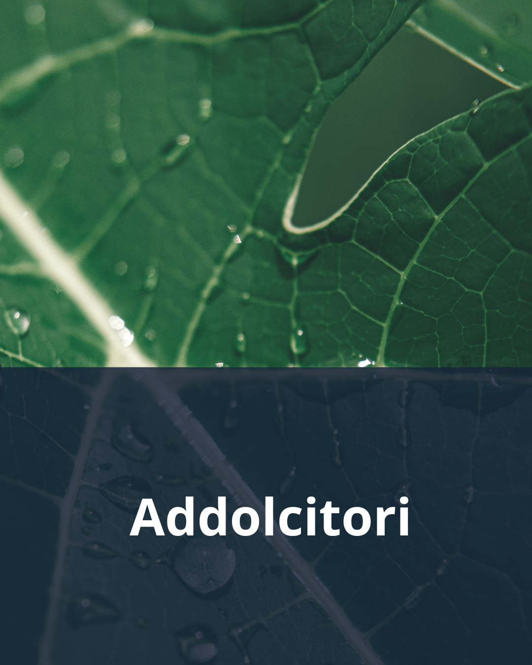 Addolcitori d'acqua