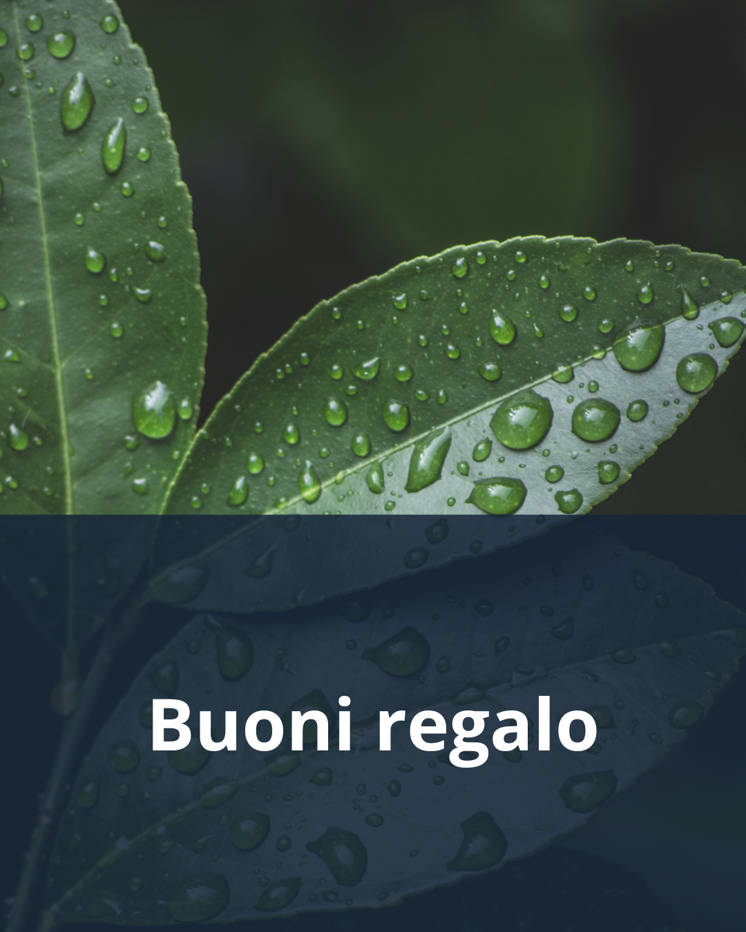 Buoni Regalo Vepò – Il dono perfetto, acqua pura e design Made in Italy