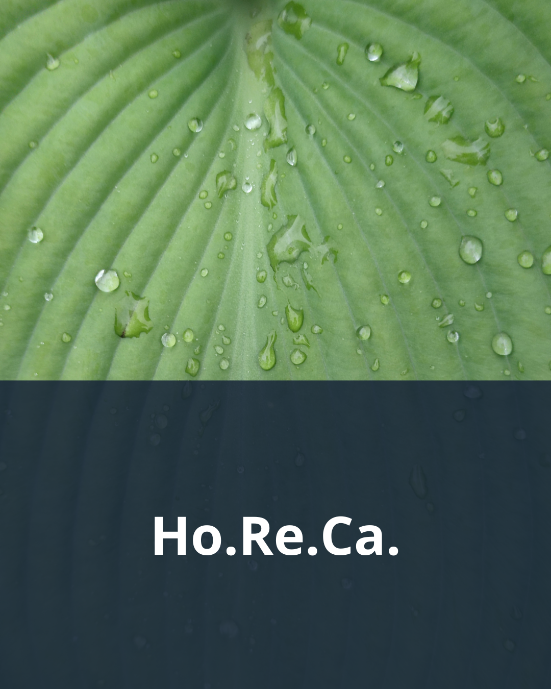Ho.Re.Ca.