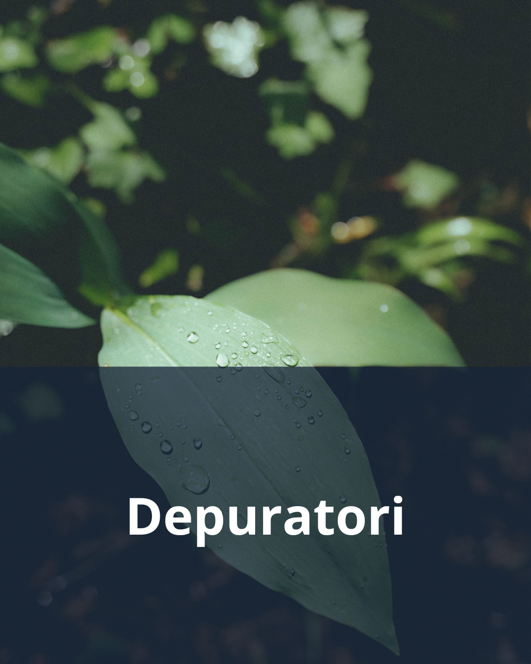 Depuratore ad osmosi inversa domestico