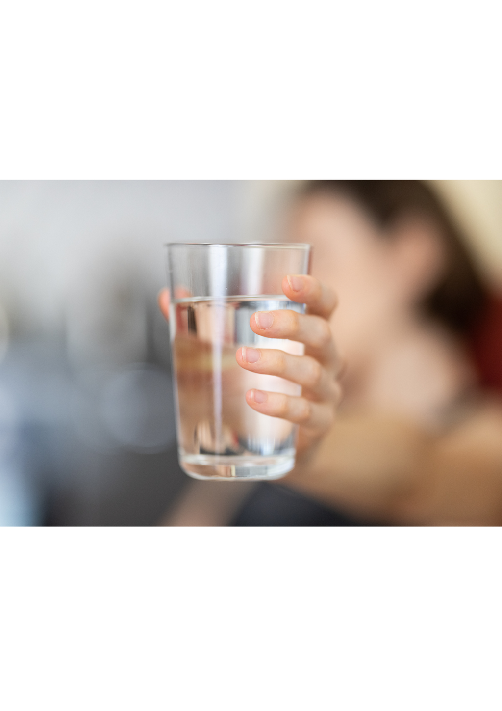 VEPO' Sentinel DUO - Addolcitore a doppio Corpo Su Misura